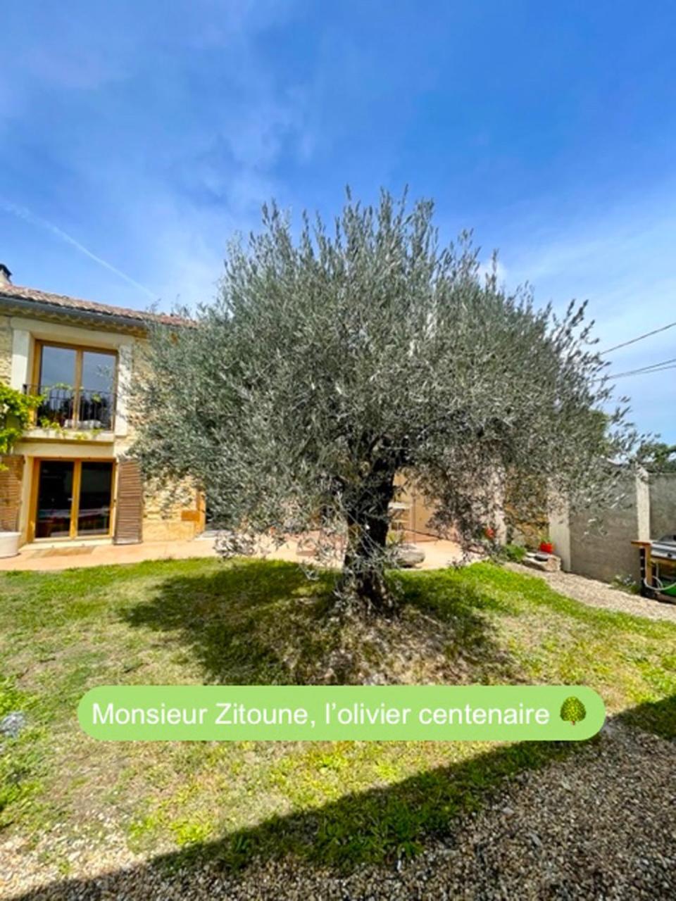 La Maison Bliss Piolenc Exterior foto